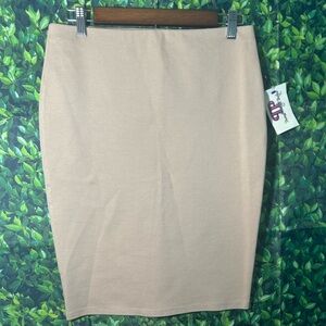 Chic Beige Pencil Skirt